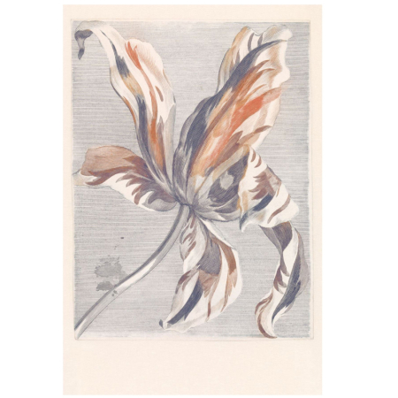 Panel Masterpiece 358116, Eijffinger