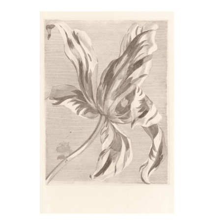 Panel Masterpiece 358117, Eijffinger