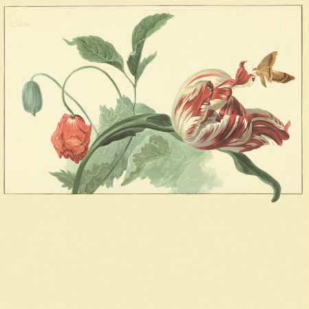 Panel Masterpiece 358118, Eijffinger