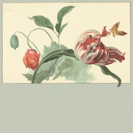 Panel Masterpiece 358119, Eijffinger