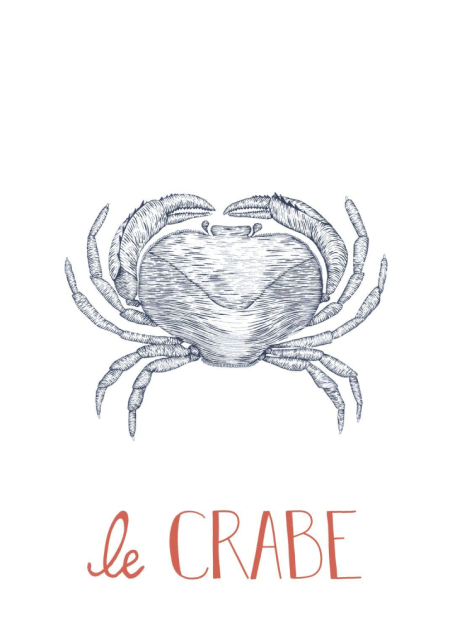 Plakát Le Crabe 20164 86 02 z kolekce Seaside, Casadeco