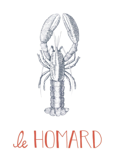 Plakát Le Homard 20163 68 04 z kolekce Seaside, Casadeco