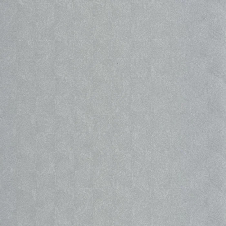 Tapeta Asterios 201889172 stříbrná, Casadeco