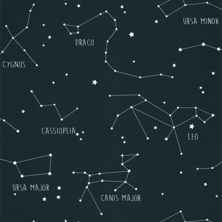 Tapeta Our Planet Constellations 10191 69 18,Caselio