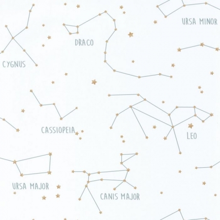 Tapeta Our Planet Constellations 10191 71 25,Caselio