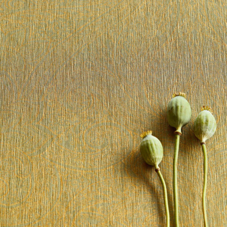 Tapeta Sundari 375124, Eijffinger